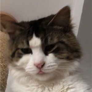 Meet your Posher, Alan